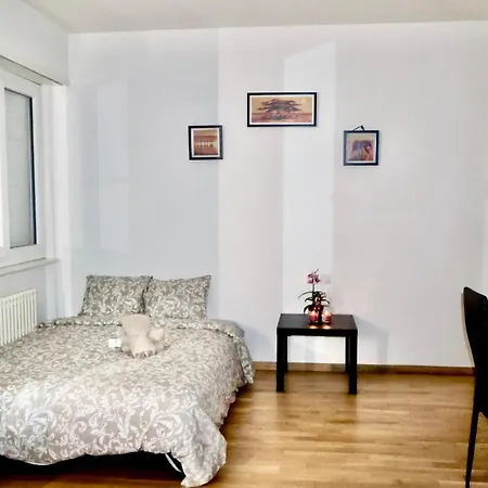 Apartamento En Lausanna Lausana